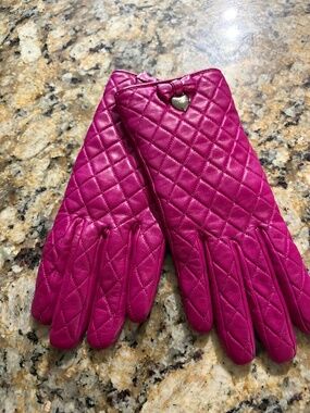 Coach Gloves